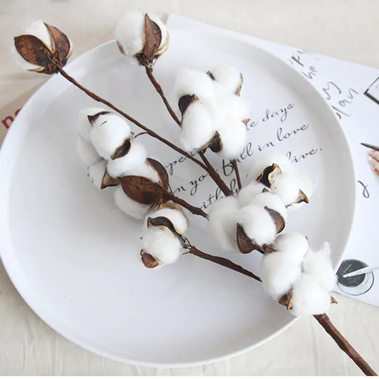 Dried Cotton Flower Stems for DIY Bouquet Decoration
